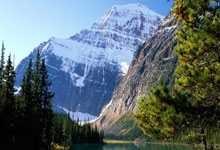 天涯论坛再曝肖战黑料，粉丝傻眼了！